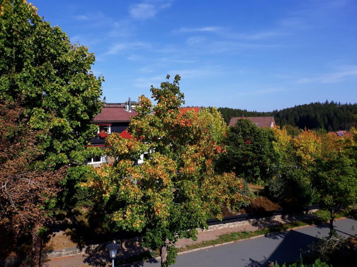 Hotel Garni Am Hochwald Braunlage Ngoại thất bức ảnh